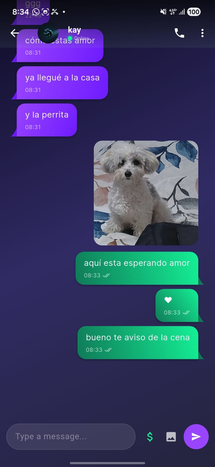 SolChat Plus Screenshot 2